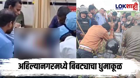 Ahilyanagar Leopard Attack Update