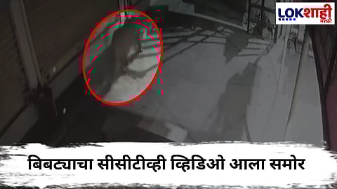 Nagpur Leoprad CCTV Video