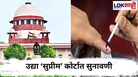 Local body elections