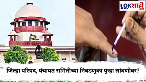 Local body elections