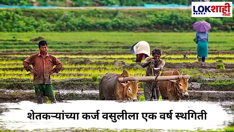 Farmers Loan : राज्य सरकारचा मोठा निर्णय, शेतकऱ्यांच्या कर्ज वसुलीला एक वर्ष स्थगिती