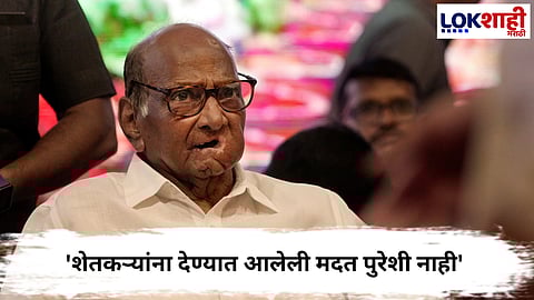 Sharad Pawar : शेतकऱ्यांच्या कर्जमाफीबाबत शरद पवार काय म्हणाले?
