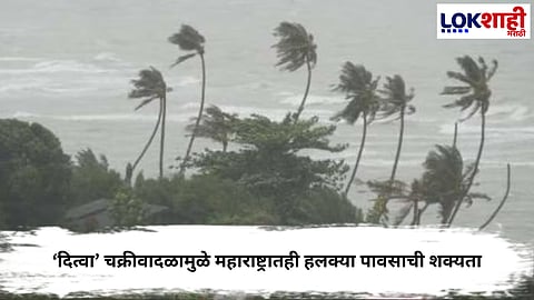 Cyclone Ditwah  : तमिळनाडू–आंध्रला ‘दित्वा’चा फटका, महाराष्ट्रातही हलक्या पावसाची शक्यता