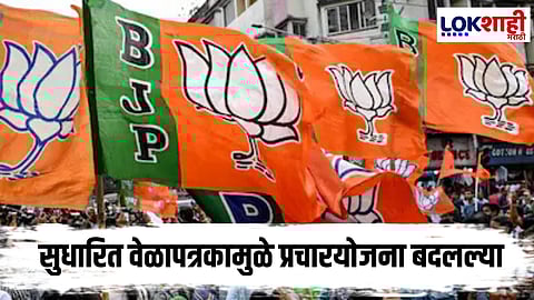 Local Government Elections