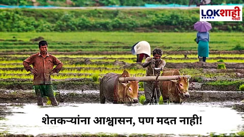 Maharashtra Farmer  : शेतकऱ्यांना दिलासा कुठे? 355 कोटी मदत शासनाच्या तिजोरीतच अडकली!