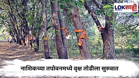 Nashik Tree Cutting : नाशिकच्या तपोवनमध्ये वृक्ष तोडीला सुरुवात, 300 झाडं तोडली