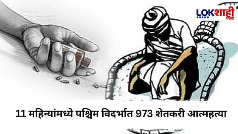 Farmer suicide : शेतकरी आत्महत्येचं भयान वास्तव, 11 महिन्यांमध्ये पश्चिम विदर्भात 973 शेतकरी आत्महत्या
