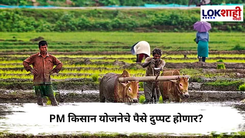 PM Kisan : शेतकऱ्यांसाठी मोठी बातमी , PM किसान योजनेचे पैसे दुप्पट होणार? 