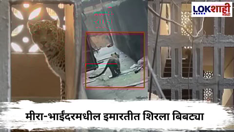 Mira Bhayandar Leopard 