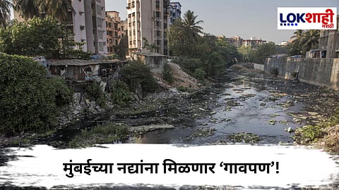 Mumbai River Rejuvenation : मुंबईच्या नद्यांना मिळणार ‘गावपण’! मिठीसह चारही नद्यांच्या शुद्धीकरणासाठी पालिकेचा ‘मेगा प्लॅन’ सज्ज