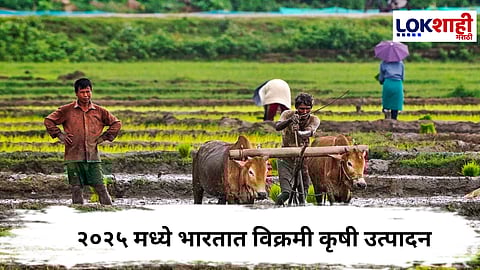 India Agriculture 2025 : अमेरिकन टॅरिफचा फटका, तरीही भारताच्या कृषी क्षेत्राची दमदार कामगिरी