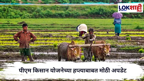 PM Kisan Yojana : नव्या वर्षात शेतकऱ्यांना मोठा दिलासा; २२ वा हप्ता कधी मिळणार?