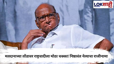 Sharad Pawar NCP Politics