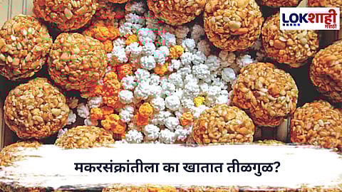 Makar Sankranti 2026 : मकरसंक्रांतीला का खातात तीळगुळ? जाणून घ्या