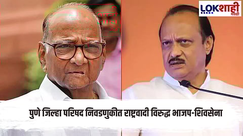 Ajit Pawar And Sharad Pawar Alliance For Pune Zilla Parishad And Panchayat Samiti Elections