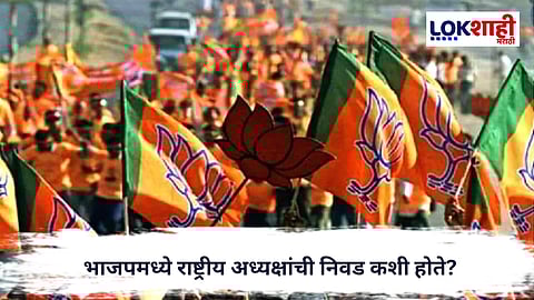 BJP : भाजपमध्ये राष्ट्रीय अध्यक्षांची निवड कशी होते? लोकशाही की हाय कमांड?