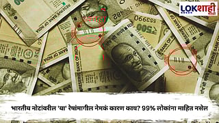 Indian Currency: भारतीय नोटांवरील 'या' रेषांमागील नेमकं कारण काय? 99% लोकांना माहित नसेल