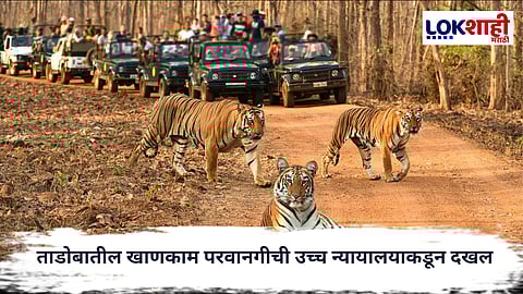 Tadoba : वाघांच्या अधिवासाला धोका; ताडोबातील खाणकाम परवानगीची उच्च न्यायालयाकडून दखल

