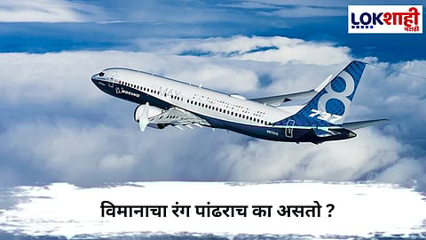 Airplane : विमानाचा रंग पांढराच का असतो ? यामागचं वैज्ञानिक कारण जाणून थक्क व्हाल
