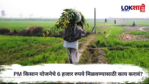PM Kisan Yojana : PM किसान योजनेचे 6 हजार रुपये मिळवण्यासाठी काय करावं? 22 व्या हप्त्याबाबत संपूर्ण माहिती जाणून घ्या