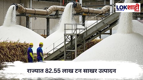 Sugar Production : राज्यात 82.55 लाख टन साखर उत्पादन; कोल्हापूर विभाग अव्वल