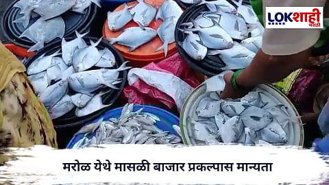 Fish market : मरोळ येथे 138 कोटींच्या घाऊक मासळी बाजार प्रकल्पास मंजुरी; 2,816 मच्छीमारांना दिलासा