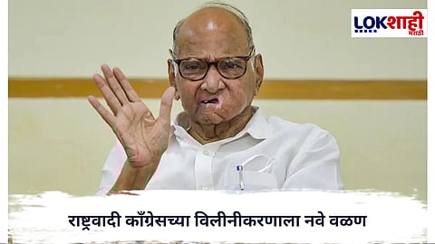 NCP Merger : राष्ट्रवादी काँग्रेसच्या विलीनीकरणाला नवे वळण; शशिकांत शिंदेंचा नेतृत्वाबाबत मोठा खुलासा