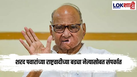 Big Breaking!  राष्ट्रवादीचे 12 आमदार शरद पवारांच्या संपर्कात- सूत्र