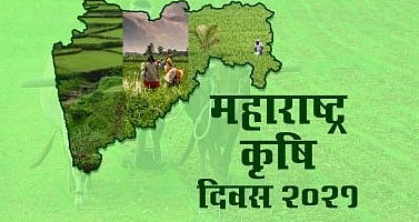 Maharashtra Krishi Din 2021: महाराष्ट्रात कृषी दिन कधी साजरा केला जातो आणि का? जाणून घ्या