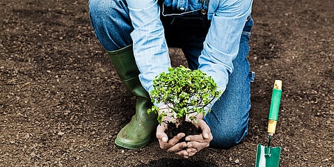 Beej: Sowing Seeds Of Joy On World Environment Day