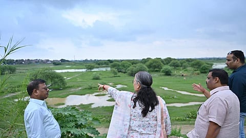 Namo Van In Lucknow: A Green Oasis By The Gomti River!