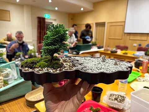 eFZeebonsai Penjing Workshop: Create a Miniature World in Lucknow