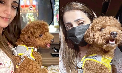 செல்லப்பிராணியுடன் திரிஷா கோவிலுக்கு சென்றாரா?- சர்ச்சையை ஏற்படுத்திய புகைப்படங்கள்