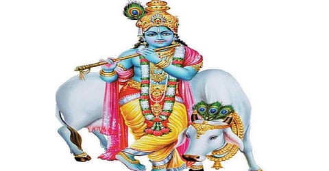 கிருஷ்ணரின் குல தெய்வம்