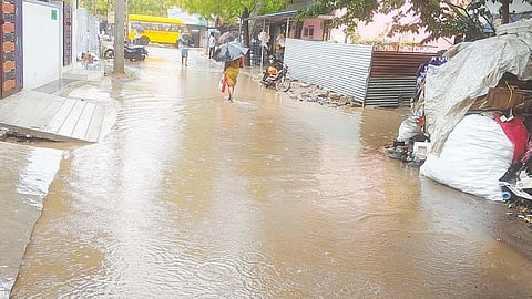 தென் மாவட்டங்களில் பரவலாக மழை- வெப்பம் குறைந்து குளிர்ச்சி நிலவியதால் பொதுமக்கள் மகிழ்ச்சி