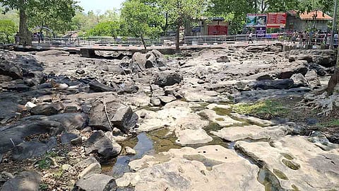 நீர்வரத்து கடும் சரிவு - பாறைகளாக காட்சியளிக்கும் ஒகேனக்கல் காவிரி ஆறு