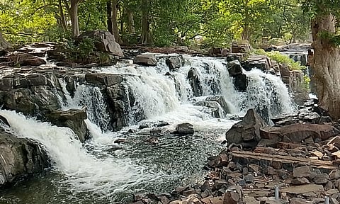 5-வது நாளாக தொடர்ந்து ஒகேனக்கல்லுக்கு நீர்வரத்து 1500 கனஅடியாக நீடிப்பு