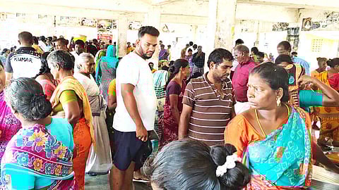 மீன்பிடி தடைகாலம்: பழவேற்காடு மார்க்கெட்டுக்கு படையெடுக்கும் மீன் பிரியர்கள்