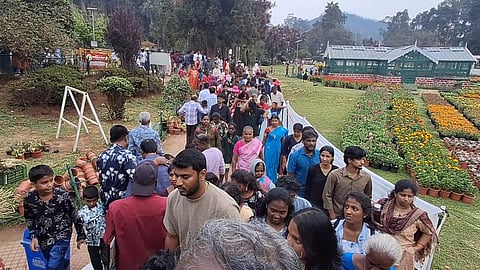 சமவெளி பகுதிகளில் சுட்டெரிக்கும் வெயில்: ஊட்டி, வால்பாறையில் குவிந்த சுற்றுலா பயணிகள்