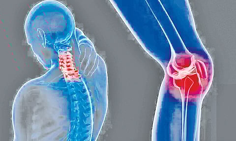 பெண்களை பாதிக்கும் எலும்பு தேய்மானம்