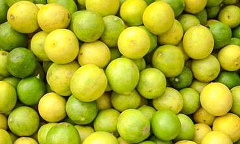 புதுச்சேரியில் எலுமிச்சை விலை  கடும் உயர்வு