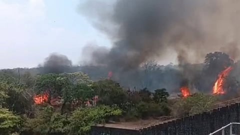 நீலகிரியில் மரவகண்டி வனப்பகுதியில் பற்றி எரியும் காட்டுத்தீ