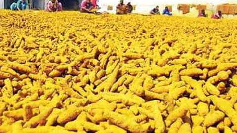 வெளிநாடுகளுக்கு 1.74 லட்சம் டன் மஞ்சள் ஏற்றுமதி- விவசாயிகள் மகிழ்ச்சி