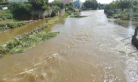 ஈரோட்டில் பெய்த மழையால் சூரம்பட்டிவலசு பெரும்பள்ளம் ஓடையில் மழைநீர் பெருக்கெடுத்து ஓடுவதை படத்தில் காணலாம்.