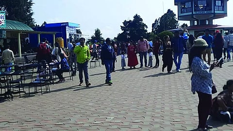 தொட்டா பெட்டா சிகரத்தை ரசிக்க திரண்ட சுற்றுலாபயணிகள்.