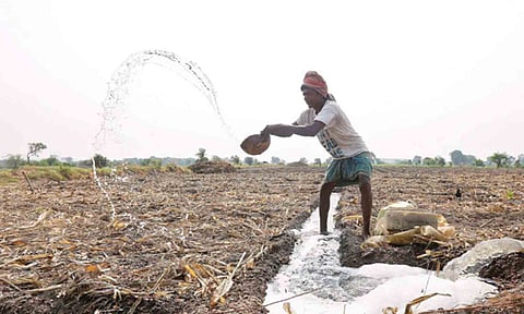 கோகப்புபடம்