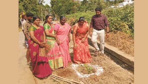 திருக்குறுங்குடி பேரூராட்சி பகுதிகளில் மரக்கன்றுகள் நடப்பட்ட காட்சி.