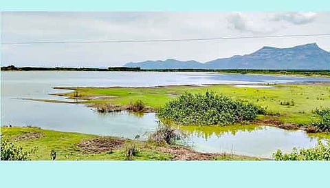 பெரியகுளம் கண்மாயில் தண்ணீர் குறைந்த அளவில் கிடக்கிறது.&nbsp;