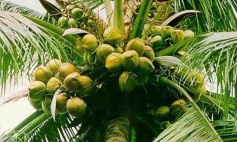 கோப்புபடம்.