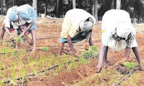 கோப்புப்படம்